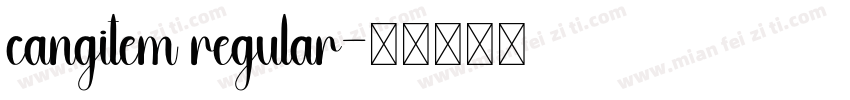 cangitem regular字体转换